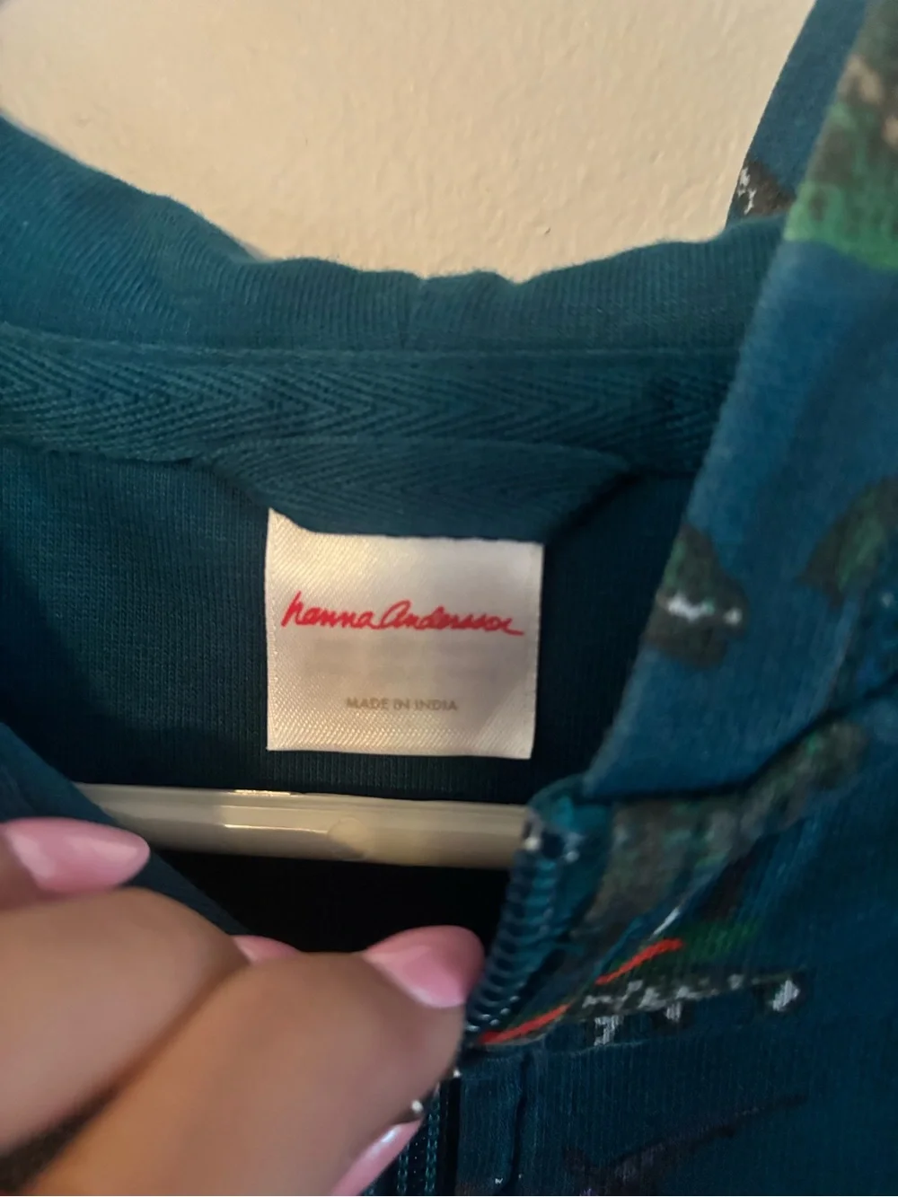 Hanna Andersson Teal Hoodie with Multicolor Dinosaur Print